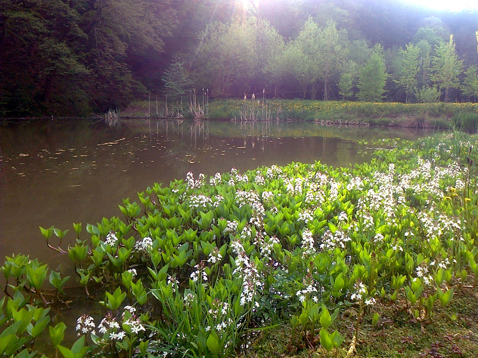 Zahrada v CHKO - jaro Foto zahrady