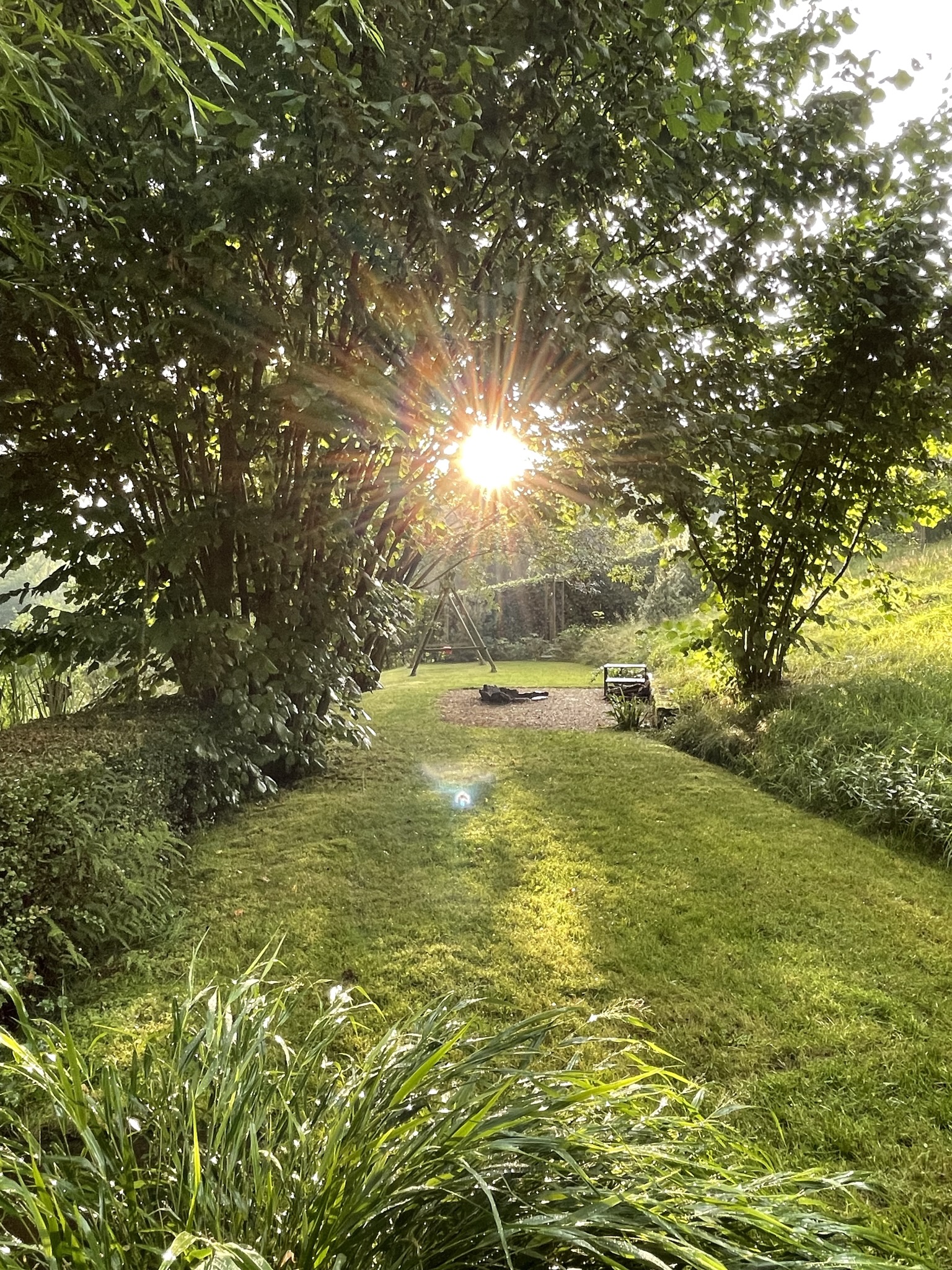 Zahrada ve svahu Foto zahrady