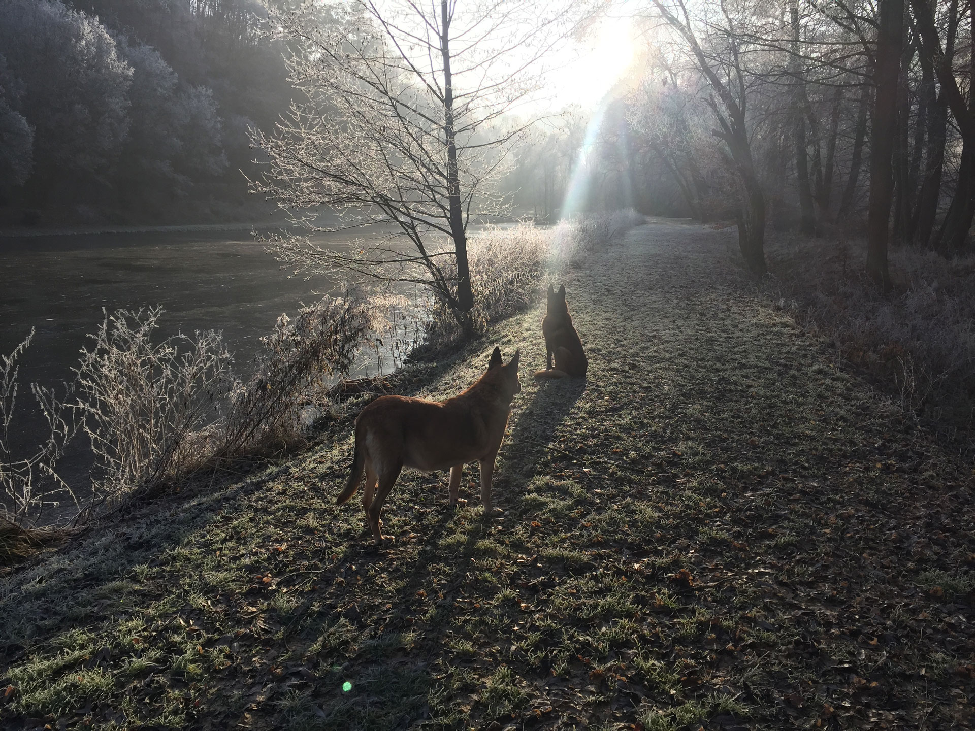 Zahrada v CHKO - zima Foto zahrady