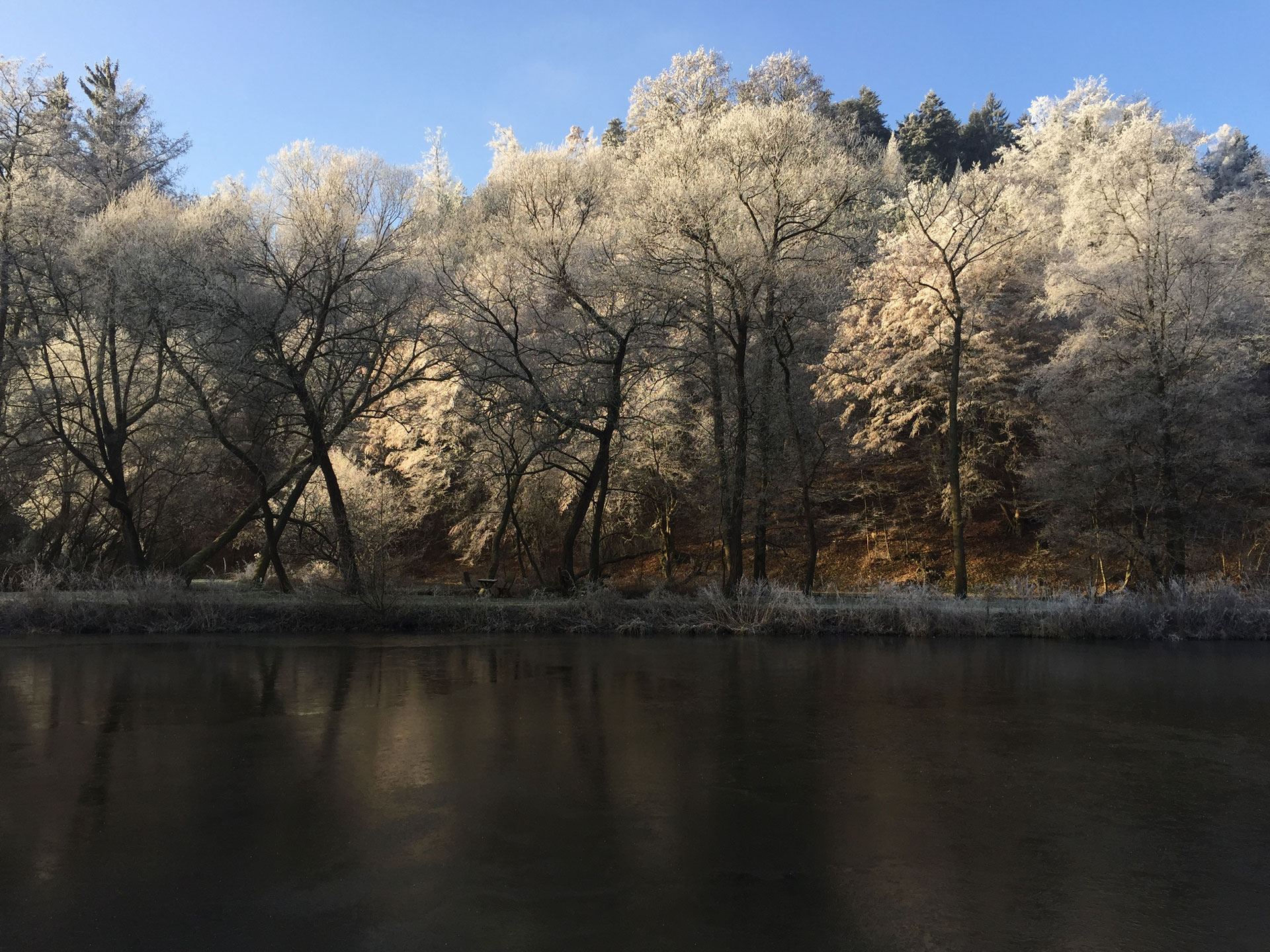 Zahrada v CHKO - zima Foto zahrady